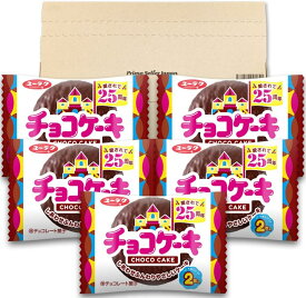 ユーラク チョコケーキ 2枚×5袋 PSJバラエティBOX 有楽製菓 チョコレートケーキ 駄菓子 お菓子 送料無料