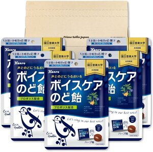 J {CXPA ̂ǈ 70g ×5 PSJoGeBBOX kanro A ̂ǂ 