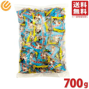 Nbs[l lߍ킹 700g rbOVFApbN iIWEC`SEje  Ɩp l َq ʉَq 