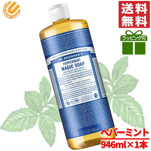 }WbN\[v yp[~g 946ml hN^[ui[ t̐Ό RXgR ʔ 