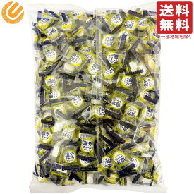 カバヤ 塩分チャージタブレッツ スポーツドリンク味 1kg（約333粒）ビッグシェアパック 大容量 小袋 個包装 業務用 大袋 塩分補給 塩タブレット 塩分タブレット 塩飴 ブドウ糖