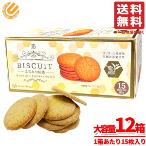 ݂͂g jb rXPbg XJ 85gx12 ZC RXgR ʔ 