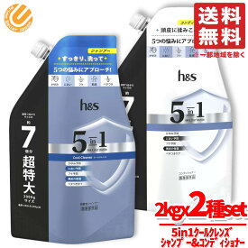 h&s ヘッドスパ シャンプー & コンディショナー 5 in 1 クールクレンズ 2000g 各1個セット 詰め替え用 P&G コストコ 通販 送料無料