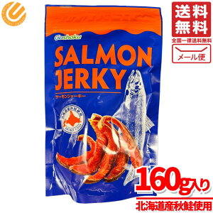 T[W[L[ kCY H 160gx1 H 󂠂 ܖ2025N1222 AEgbg RXgR ʔ 