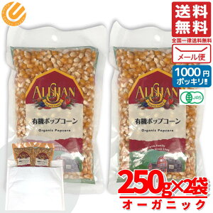 AT |bvR[  I[KjbN Ɩp  L@ 250g×2 1000~|bL [ RXgR ʔ 