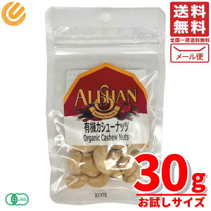 AT JV[ibc I[KjbN L@ xgi ibc   Y  30g×1 [ RXgR ʔ 