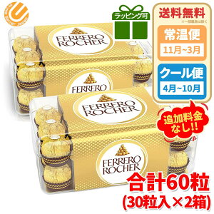 tF VF v60 750g (375g×2) Mtg bsOΉ RXgR ʔ N[ o^C ΂܂ 