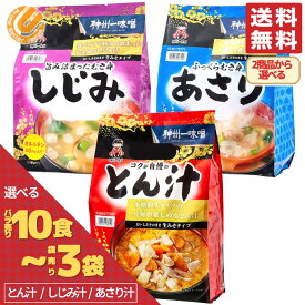 とん汁 あさり しじみ 味噌汁 神州一味噌 インスタント レトルト 選べる 10食 20食 40食 2袋 3袋 4袋 豚汁 業務用 コストコ 通販 送料無料