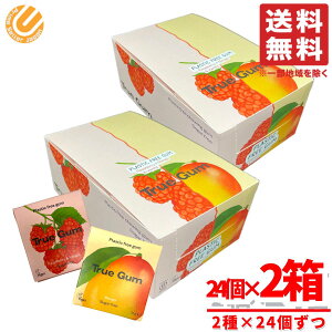 `[CK Y sgp gD[K 2Zbg 21gx24x2 Yx[&ojE}S[ RXgR ʔ 