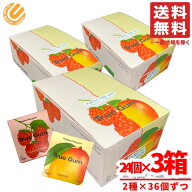 トゥルーガム ナチュラルガム チューインガム 砂糖不使用 2種セット 21gx24個x3箱 ラズベリー&バニラ・マ…