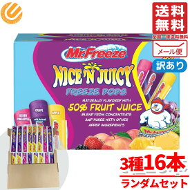凍らせて食べるシャーベット スティック フルーツシャーベット アイスキャンディー 16本 ミスターフリーズ ランダムセット コストコ メール便 通販 送料無料