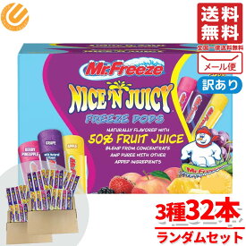 凍らせて食べるシャーベット スティック フルーツ アイスキャンディー 32本 ミスターフリーズ ランダムセット コストコ メール便 通販 送料無料