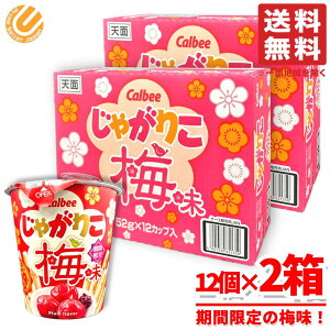 Ⴊ肱 ܂Ƃߔ  ~ 24Jbv(52g×12Jbv×2) Ԍ Jr[ RXgR ʔ 
