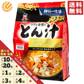 とん汁 神州一味噌 豚汁 インスタント レトルト 業務用 選べる 10食 20食 1袋 2袋 3袋 4袋 1000円ポッキリ メール便 コストコ 通販 送料無料