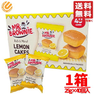 ~X^[uEj[ P[L 40×1  َq  RXgR ʔ 