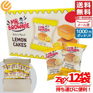 ~X^[uEj[ P[L 25g×12  َq  󂠂 1000~|bL RXgR [ ʔ 