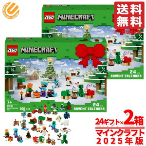 }CN S Ahxg J_[ 2025 }CNtg 24Mtg×2Zbg LEGO NX}X RXgR ʔ 