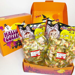 nEB z[pC n[gpC~j 24 lߍ킹 e HWMtg{bNX  َq  v`Mtg v[g Cxg  s j[GXg