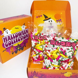 JN_C nEB lَq e 2kg lߍ킹 HWMtg{bNX  َq  ʉَq l v`Mtg v[g Cxg 