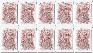 Ⴞ܃`R[g{[ 500g 10܃Zbg NX}X p[eB[ ~ Cxg Ɩp K T^ v[g Mtg َq T^N[X v`Mtg ii NX}Xc[ `