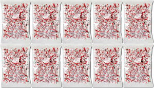 T^̃`R[g{[ 500g 10܃Zbg NX}X p[eB[ ~ Cxg Ɩp K T^ v[g Mtg َq T^N[X v`Mtg NX}Xc[ `R 