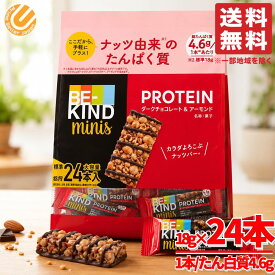 ビーカインド ミニバー プロテインバー ダークチョコ &アーモンド 24本×1袋 be-kind マースジャパン コストコ 通販 送料無料