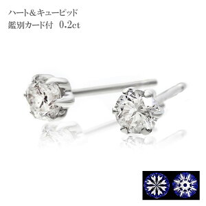 H&C_C n[gL[sbh ӕʃJ[ht _CsAX sAX _C fB[X PT 0.2ct H&C v`i ꗱ_C Ԃ ig v[g NX}X zCgf[ ̓Mtg