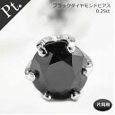 ダイヤ ピアス 0.25ct メンズピアス メンズ 片耳用 PT プラチナ ブラックダイヤ 片耳ピアス プレゼント 誕生日 記念日…