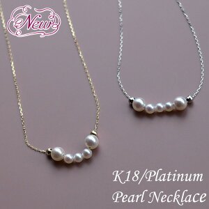 lbNX v`i Pt K18 18K p[ fB[X ^ AR^  AR p[lbNX CG-S[h ARp[ 5 Vv a  v[g  VlMt