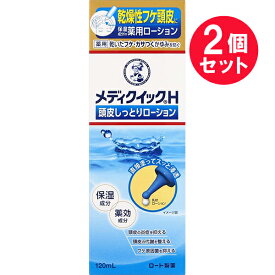 『2個セット』【医薬部外品】メンソレータムメディクイック&reg;H頭皮しっとりローション 120mL ロート製薬 スキンケア