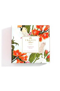 France Luxe tX bNX o[\[v t` pt[h o[ \[v is[`jfB[X nh\[v Ō`Ό Ki Mtg