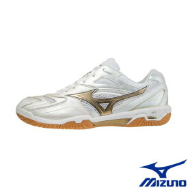 送料無料◆MIZUNO◆ウエーブファング PRO　71GA2100　ミズノ　ユニセックス　バドミントンシューズ