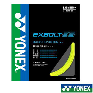 sVFt2024N8{@YONEX@GNX{g65@EXBOLT65@BGXB65@lbNX@oh~gXgO