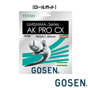 GOSENdejXXgO@[Kbg@AK@v@CX@16@TS7602NA@S[Z