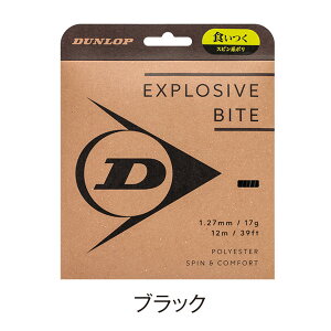 2025N10{@DUNLOP@GNXvbVuEoCg@DSTA11011@EXPLOSIVE BITE@_bv@dejXXgO