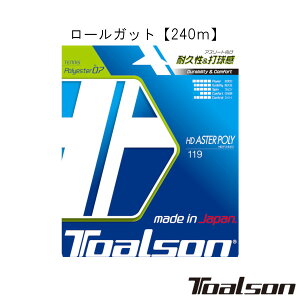 ToalsonHD AX^| 119 240m@HD ASTER POLY 119 7471912@gA\@dejX[