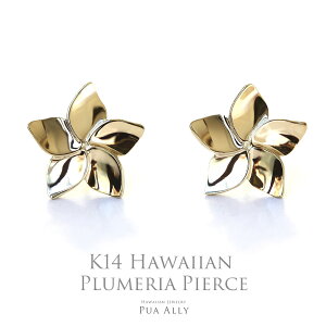 yK14 vA sAXz 14 K14 nCAWG[ Hawaiian jewelry Puaally vAA uh fB[X vA LO a j CG[ S[h v[g  j Mt_