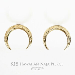 yK18 Naja(iW) sAXz18 uh Puaally nCAWG[ vAA fB[X  O NbZg [ i CfBA {w~A CG[ S[h v[g  