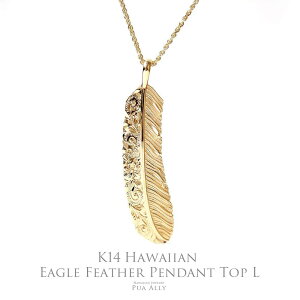 yK14 nCA C[OtFU[ (H) y_ggbv Lz`F[ʔ 14 K14 CG[ S[h nCAWG[ vAA uh fB[X Y yA CfBA A