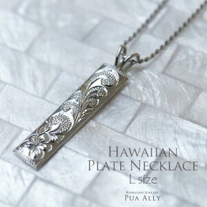 ySV925nCAbv[gy_ggbvLz`F[ʔ nCAWG[ Vo[ 蒤 El Y j v U߂ ގ v[g Mtg a LO j v