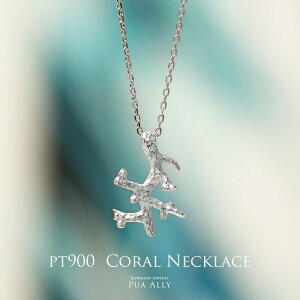 yPt900 TS lbNXz`F[ nCAWG[ fB[X vAA {  v`i X coral ޏ   }} ꂳ LO a  oY v[