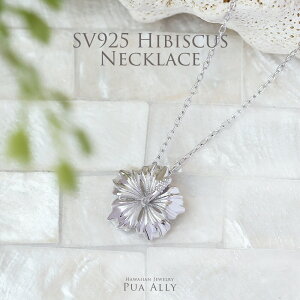 ySV925 nCrXJX Vv lbNXz`F[ nCAWG[ vAA uh  fB[X  Vo[ ؚ Vv lbNX a LO j Mtg 