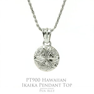 yPt900 nCA IKAIKA y_ggbvz`F[ʔ v`i nCAWG[ vAA uh fB[X Y  yA CJCJ  El v[g Mtg a