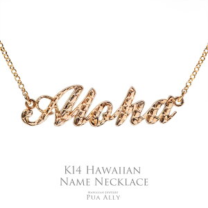 yK14(14) nCAl[lbNXz`F[ nCAWG[ vAA 蒤 I[_[Ch l[ CjV vA At@xbg   v[g j