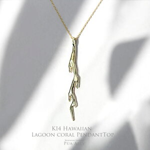 yK14 O[TS y_ggbvz`F[ʔ nCAWG[ uh Ӗ vAA 14 K14 TS R[ S[h v[g X fB[X ޏ oY Mtg L