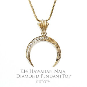 yK14 Naja(iW) _Ch y_ggbv z`F[ʔ nCAWG[ Puaally vAA fB[X Y yA  O NbZg [ i CfBA {w~