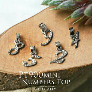 yPt900 ~j io[ y_ggbvz`F[ʔ \Eio[ GWFio[  uh { Puaally vAA nCAWG[ 蒤 El v`i v[g 