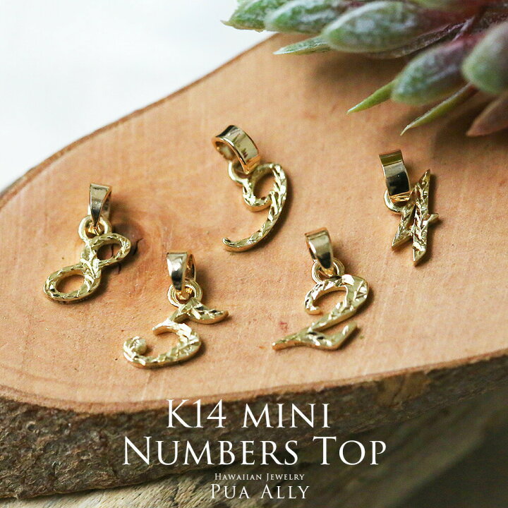 楽天市場】【K14 ミニ ナンバー ペンダントトップ】チェーン別売り 