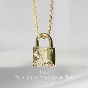 yK14 phbN(싞) y_ggbv z`F[ʔ 14 K14 nCAWG[ Puaally vAA fB[X Y yA bN  L[ Padlock Key CG[ v[g  j 