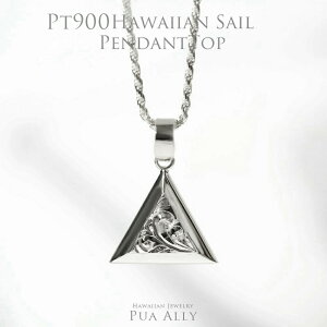 yPt900 ZC y_ggbv z `F[ʔ v`i nCAWG[ vAA {  Puaally fB[X Y yA D  ZCO  seil gCAO v[